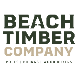 beachtimber